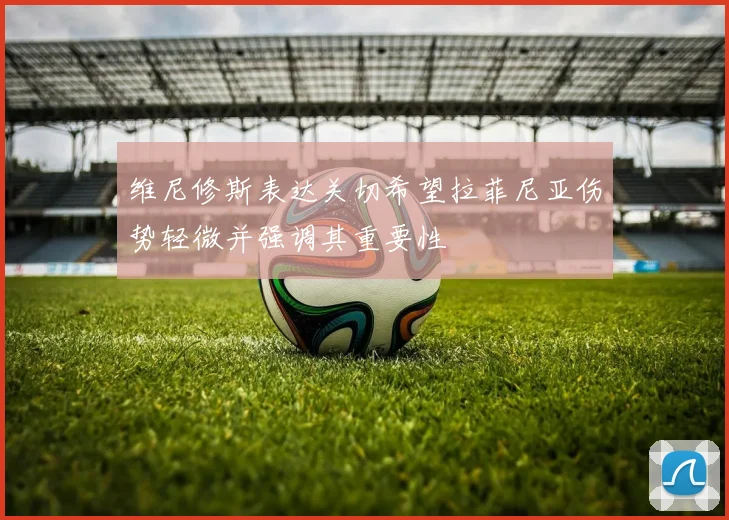 维尼修斯表达关切希望拉菲尼亚伤势轻微并强调其重要性